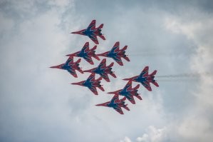 Чёрный стриж: вы удивитесь, насколько много безумия и аномалий в их жизни