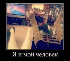 17 человек, которые говорили, что животным в доме не место