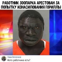 Профессиональный обниматель детенышей горилл