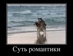 Романтичные жесты, на которые способны не все