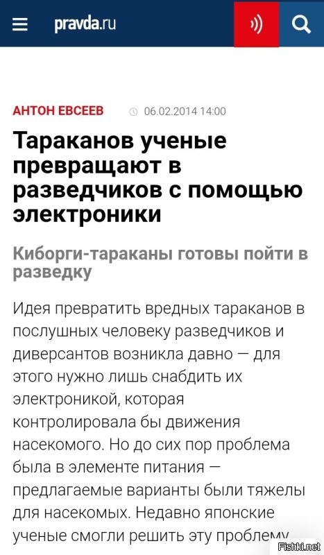 В здании Государственной думы обнаружили американского таракана