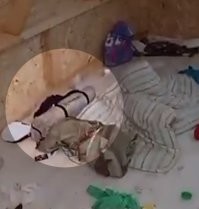 Судя по взятому с собой спальному коврику в чехле, всех предупредили, что жить будут в "походных условиях".
Без кроватей.
Просто вместо палаток, будут такие "шалаши".