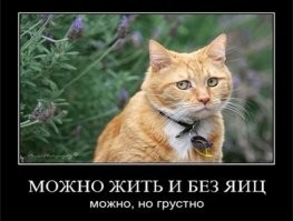 Удивительное рядом, но его надо разглядеть
