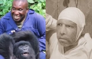 Дык они не сильно и отличаются, только нижний, сволочь оброс (с)!