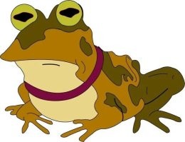 18 самых необычных разновидностей лягушек, которые выглядят как плод чьего-то богатого воображения