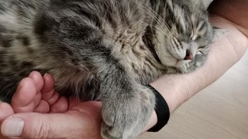 Добавлю своего: