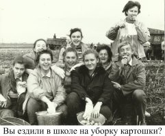 Ха, в школе!
Вы будете смеяться, но мы ходили на уборку огурцов в старшей группе детского сада.
Толку, видимо, было мало, поэтому одним разом все ограничилось.
А в школе мы ходили (да, пешком, километра три в одну сторону, стройными колоннами) на уборку яблок и слив. 
Пару раз народ ходил на уборку винограда и помидоров, но я сделал справку и сачковал. 
Говорят, там была настоящая испанская Таматина (хотя таких слов мы тогда не знали).