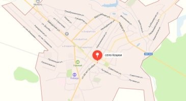 Наверное это 54.204467, 50.466652 они хотели сказать....