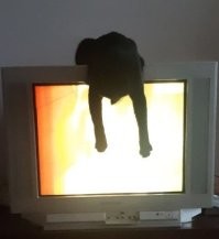 почините телек!