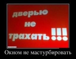 «Не верьте коту Семёну!» и ещё 17 странных и забавных объявлений
