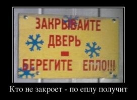 «Не верьте коту Семёну!» и ещё 17 странных и забавных объявлений