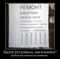 «Не верьте коту Семёну!» и ещё 17 странных и забавных объявлений