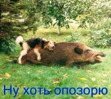 Ну, ващет они тоже в долгу недолго остаются.