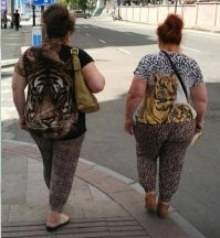 Другие ацтеки: мистическая и физическая сила воинов-зверей и их статус в обществе