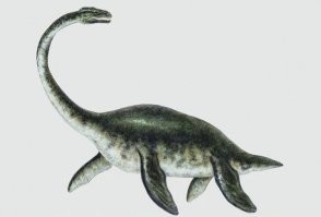 17 удивительных археологических находок, которые заставят вас слегка потеряться в тайнах прошлого