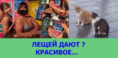 Мускулистые женщины раздают клиентам лещей в Японии