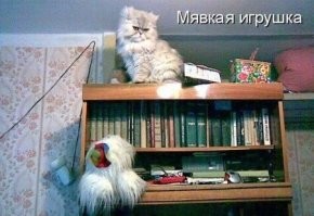 24 котика, которые решили выступить в роли дизайнеров интерьера и преуспели в этом