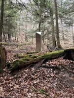 Чёрный? ТС, у тебя глаза в заднице?

«Я обнаружил странный чёрный обелиск прямо посреди леса»
