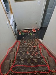 Арбуз... На фоне этой помойки арбуз практически незаметен.