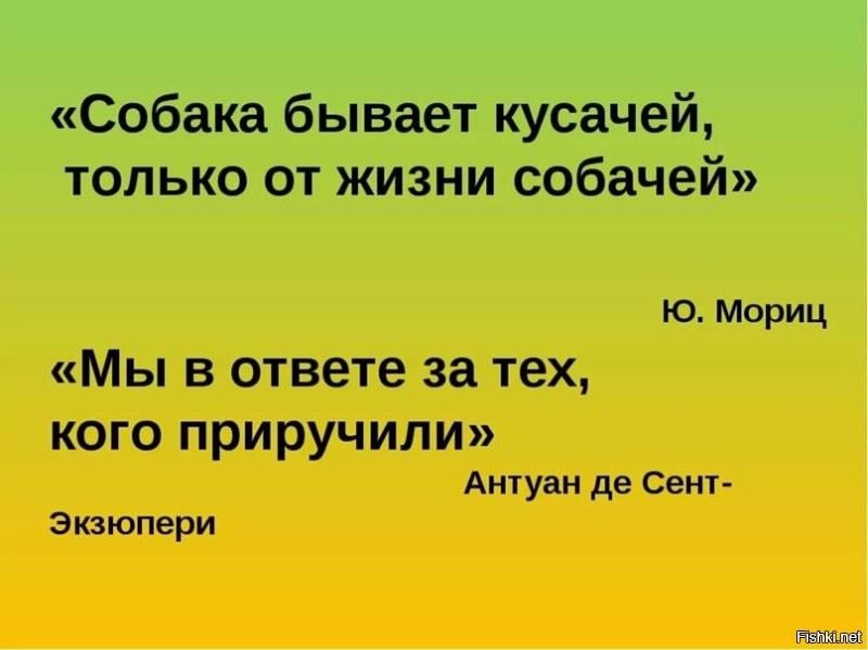 Почему ругань из-за намордников никогда не закончится?