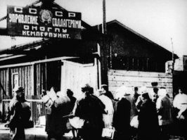 Нельзя так жестоко выдворять мигрантов из страны, надо их научить и дать исполнить то что они хотели "ПОРАБОТАТЬ"     Срочно их всех в   ТРУДОВЫЕ ЛАГЕРЯ от 5-10 ЛЕТ РАБОТЫ!  Вместе с ихними покровителями и помощниками в нелегальном проникновении в РФ.   Они смогут  своим общим трудом; понизить стоимость продуктов питания в магазинах, восстановить сгоревшие и вырубленные леса.  И после ТРУДОВОГО ЛАГЕРЯ  можно спокойно  через =БИОМЕТРИЮ=  возвращаться в свои аулы и кишлаки.  ВСЁ ПРОСТО.