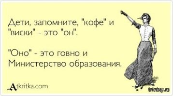 Мужчина вырастил вместе с собаками осиротевшую альпаку