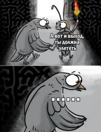 35 идеальных снимков из соцсетей, которым нельзя верить