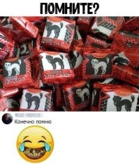 Мажорский какой-то. У нас жёлтый был и кошак - только еб.альник, как у чеширского