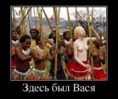 25 забавных кадров, которые помогают отвлечься от скучной повседневности