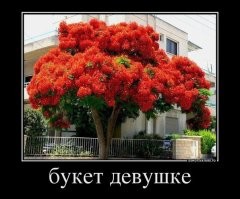 25 забавных кадров, которые помогают отвлечься от скучной повседневности
