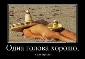 25 забавных кадров, которые помогают отвлечься от скучной повседневности