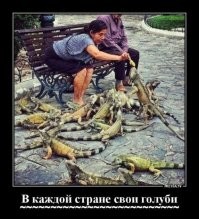 25 забавных кадров, которые помогают отвлечься от скучной повседневности