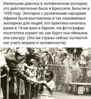 История одного геноцида: австралийские аборигены считались животными до 1970-х годов