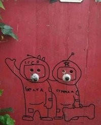 18 случаев, когда собаки вели себя как самые настоящие чудаки