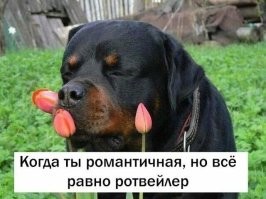 25 забавных кадров, которые помогают отвлечься от скучной повседневности