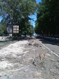 Город Азов Ростовской обл. В красивейшем месте, Петровском бульваре властями в 2019 г. были уничтожены десятки прекрасных, здоровых голубых елей. Так проводилось благоустройство бульвара. Даже нашёл проект его, нигде ни слова о планируемом уничтожении. Спилили даже там, где не благоустраивали, возле дома быта. Так чинушам хотелось освоить деньги по их планам. Уничтожили многолетний , цветущий куст за памятником Петра 1. Позарез нужно было место для посадки других саженцев. 

   Главное тут я вижу одно - освоить деньги. Под наплевать глубоко мэрии и прочей челяди, ведь они совершенно бесконтрольны пред теми , которые там живут, не эти люди платят им зарплату, хоть и своими налогами. Поэтому борзеют безмерно и неподсудно.