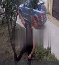 Странно: обезьяна, а по деревьям лазить не умеет!