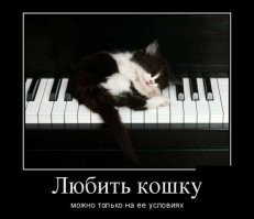 Когда ты просто живешь и дышишь музыкой