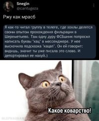 Политическое ассорти от&nbsp;Edyan за&nbsp;06-08-2024