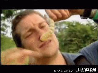 Ничего страшного. Они же лучшие из лучших, так что справятся