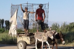 Как так получилось что этот ишаковод на машину сел? Срочно через процедуру - БИОМЕТРИЯ вернуть обратно в кишлак или в аул. (чтоб не вернулся, по новым документам )  Ишак Арба  - это то где он может управлять и рулить)