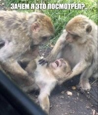 "Эмо были лучше": знаменитого солиста группы Tokio Hotel теперь не узнать