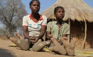 Вот тоже удивительные из мира животных