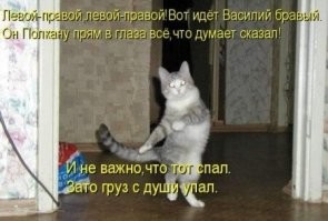 24 странных котопозы и их очаровательные авторы-исполнители