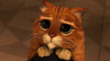 где вы такую бредовую дичь берете - сходите еще раз туда сожгите все на х.у.й. уже