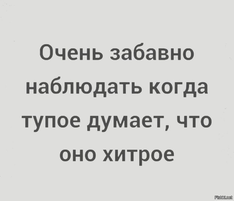 Трое не очень хитрых грабителей попытались вынести телевизор из магазина в Одинцово