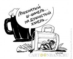 Смешные комментарии и картинки из социальных сетей