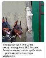 "Главная задача этих истребителей - укрепить моральный дух украинцев". Очевидно перед смертью.
