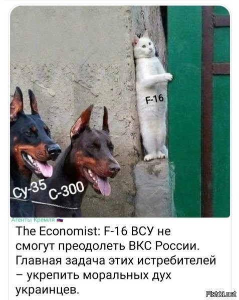 "Главная задача этих истребителей - укрепить моральный дух украинцев". Очевидно перед смертью.