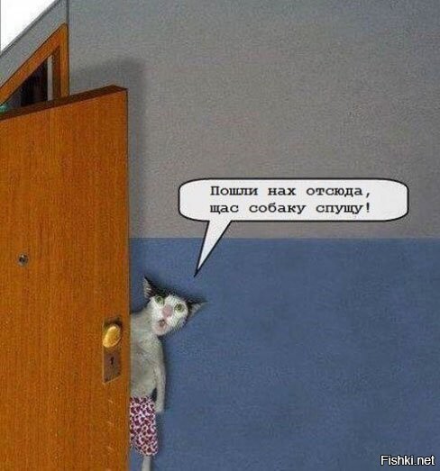 (с) фотография Вики Бесоловой